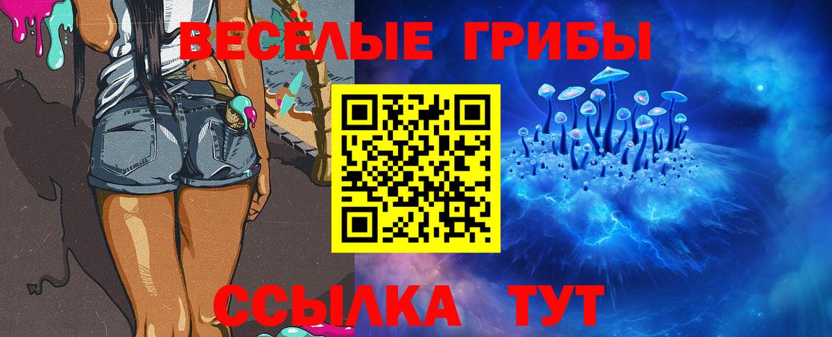 Кашира  Псилоцибиновые грибы Psilocybine cubensis  Вход с VPN 